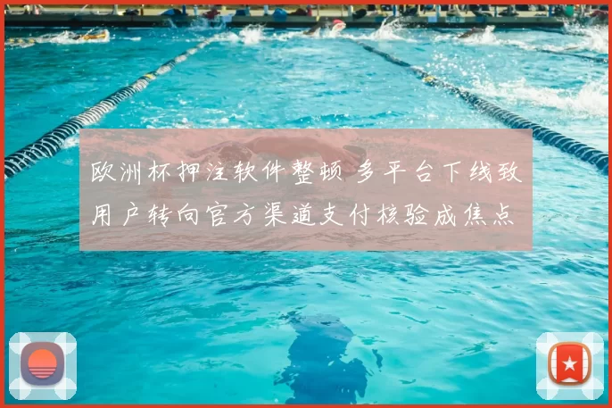 欧洲杯押注软件整顿 多平台下线致用户转向官方渠道支付核验成焦点