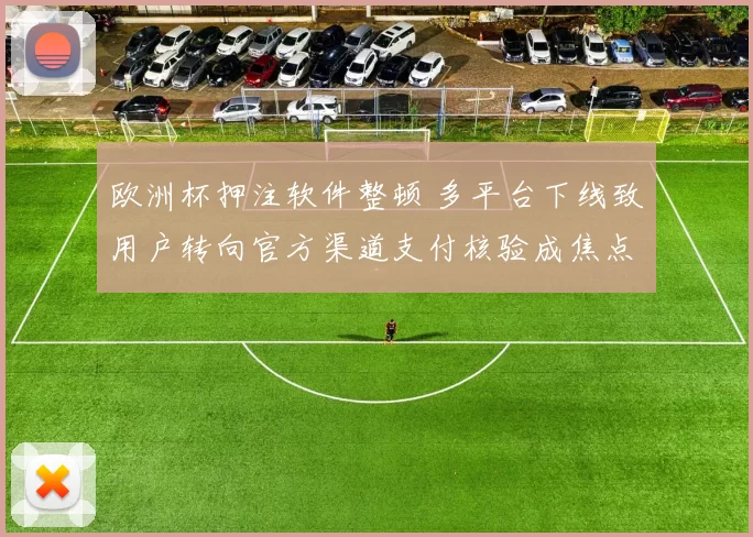 欧洲杯押注软件整顿 多平台下线致用户转向官方渠道支付核验成焦点