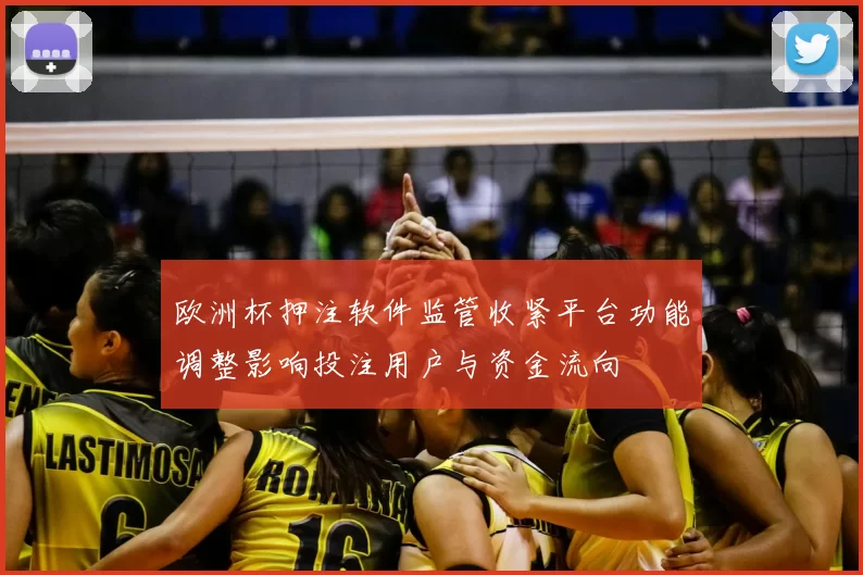 欧洲杯押注软件监管收紧平台功能调整影响投注用户与资金流向