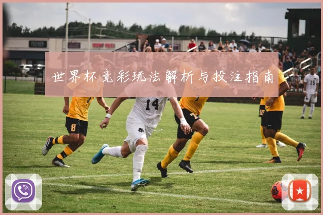 世界杯竞彩玩法解析与投注指南