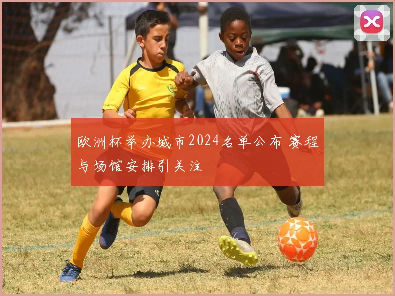 欧洲杯举办城市2024名单公布 赛程与场馆安排引关注